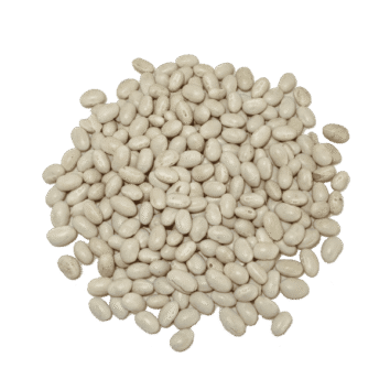 alubia arrocina