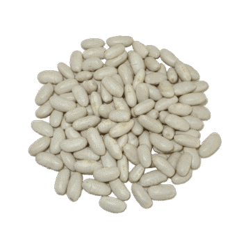 alubia blanca riñón