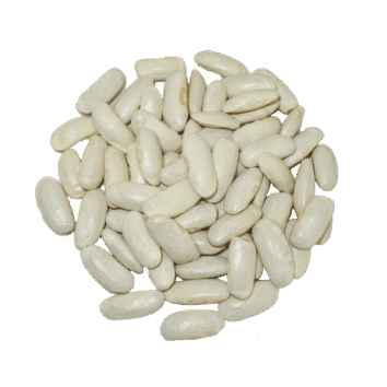 alubia faba asturiana