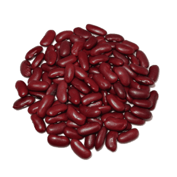 alubia morada larga ecológica