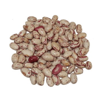 alubia pinta
