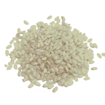 arroz arborio