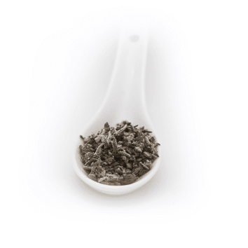 salvia seca
