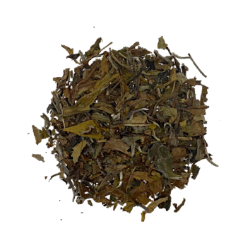té blanco pai mutan